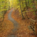 PathLight